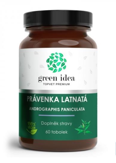 Андрографис индийска ехинацея